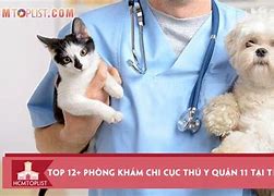 Chi Cục Thú Y Tphcm Trần Quý