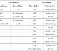 Độ Tuổi Lao Động Của Năm 2024